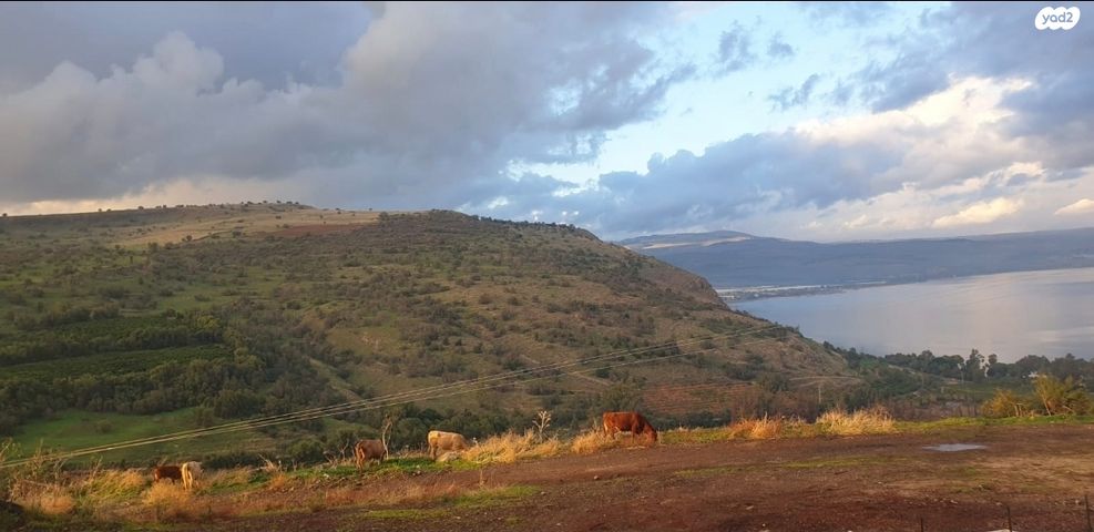 דו משפחתי, האמהות 7, שיכון עובדים, טבריה