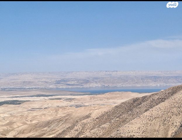 דרך חיים 2003