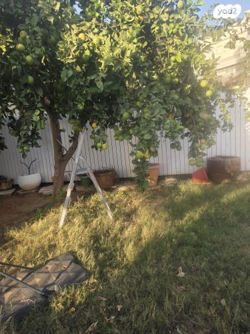 דירת גן, יהודה הלוי 20, היובל, אור עקיבא