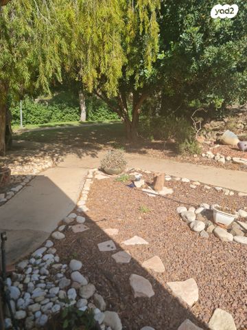 דירת גן, חמדיה 1, חמדיה, חמדיה