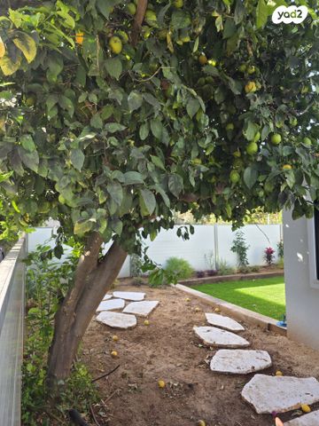 בית פרטי/ קוטג', גולומב 6, למפרט, כפר סבא