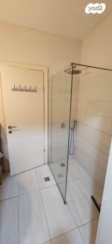 שלמה המלך 20