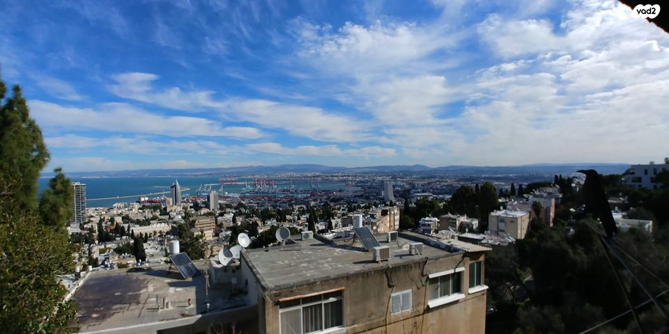 מונטיפיורי 7