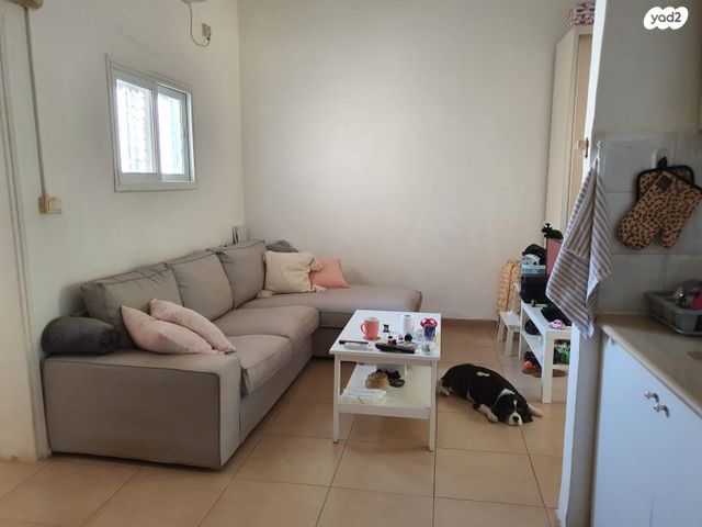 דירת גן, חמדיה 1, חמדיה, חמדיה