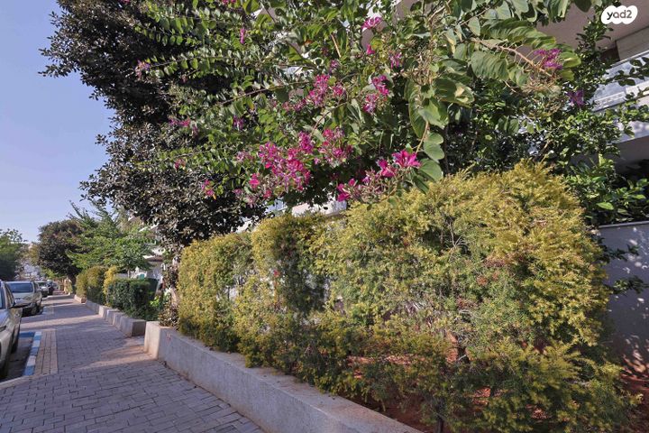 דירה, הררי, נווה יהושע, ערמונים, רמת גן