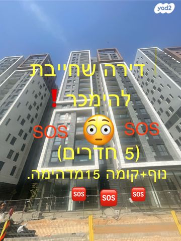 הכלנית 