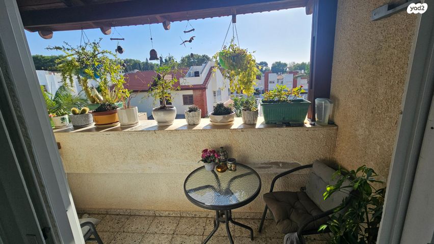 הרב שלמה לופס 