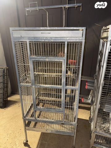 תמונת מודעה - חיות מחמד