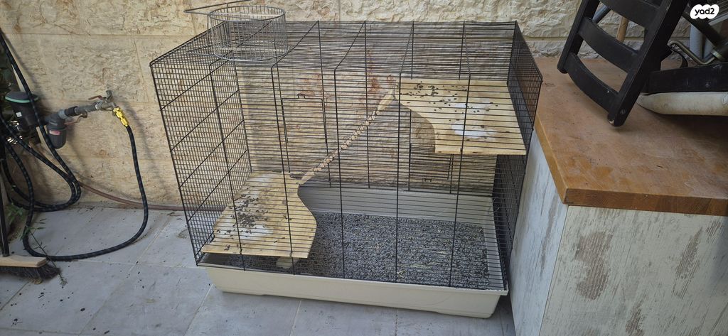 תמונת מודעה - חיות מחמד