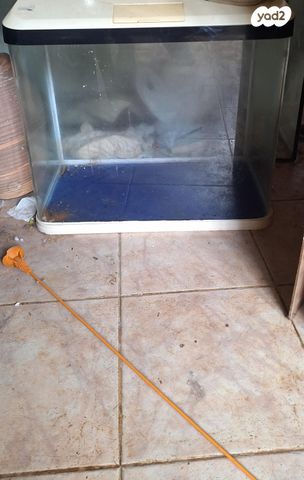 תמונת מודעה - חיות מחמד