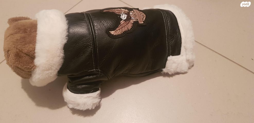 אביזרים | ביגוד