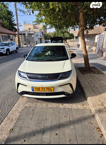 מודעת רכב בי.ווי.די דולפין