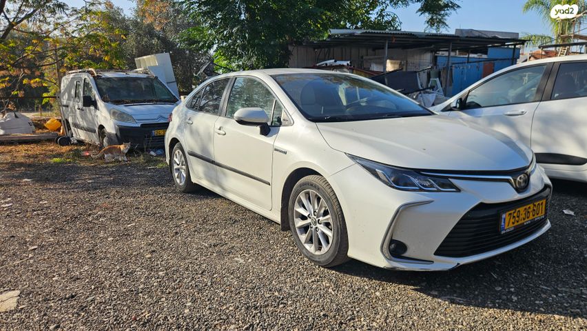 טויוטה קורולה