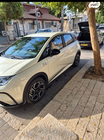 בי.ווי.די דולפין