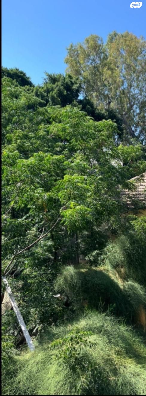 דירה, א.ד. גורדון 3, הפועל המזרחי ג', שיכון ג', בני ברק