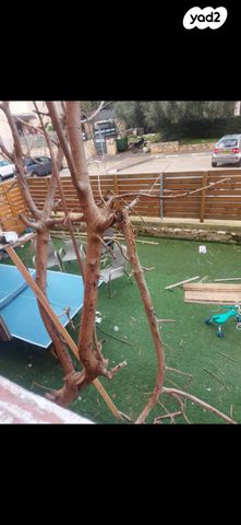 דירה, מעלה הכרמים 24, טנה, כרמיאל