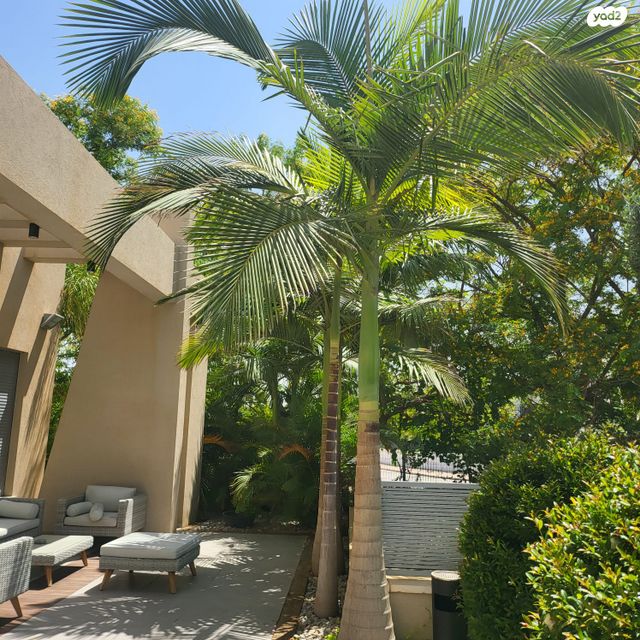 בית פרטי/ קוטג', אדמונית 13, שאר העיר, עומר