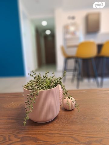 דירה, סביון 22, הפרחים, חריש