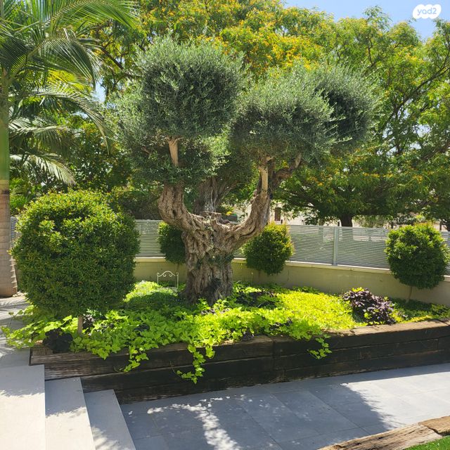 בית פרטי/ קוטג', אדמונית 13, שאר העיר, עומר