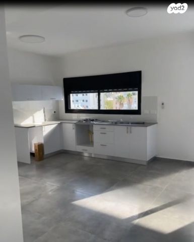 מעפילי אגוז 31