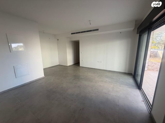 טולדנו ניסים 15