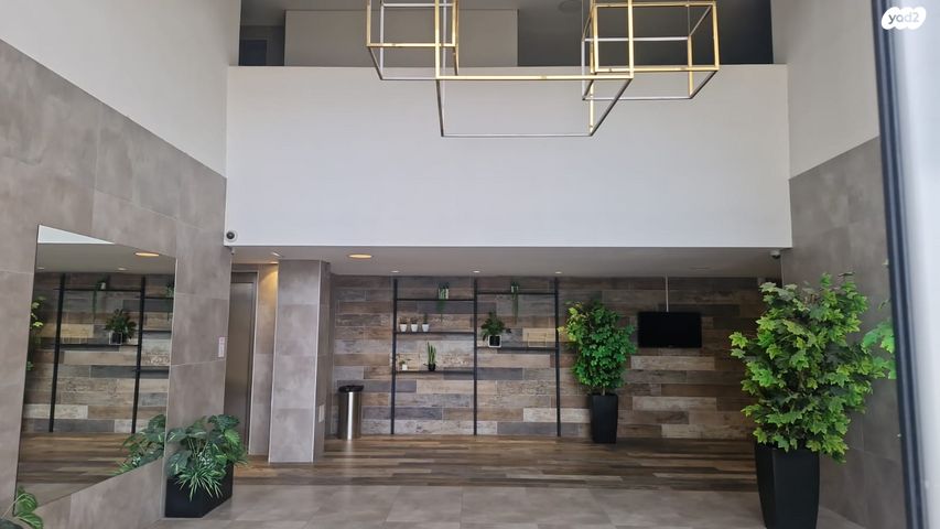 אלישע הנביא 26