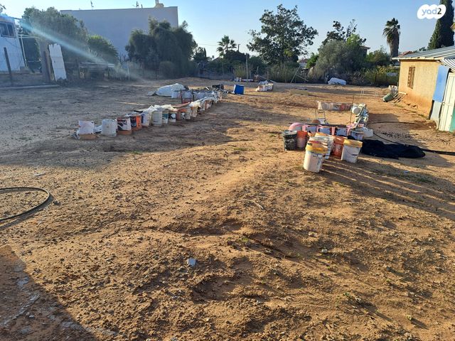 מגרשים, הנרקיס 8, וורבורג, בנימינה גבעת עדה