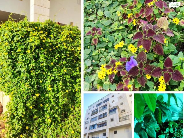 דירה, דרך מנחם בגין 48, הדר גנים, פתח תקווה