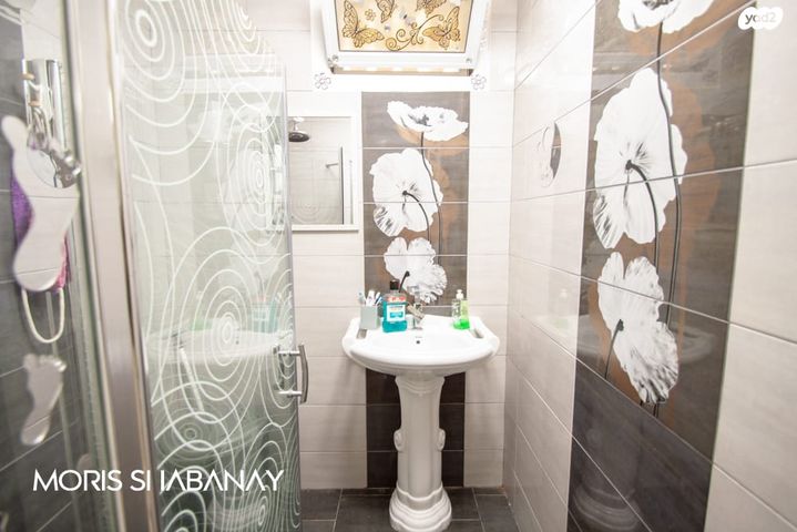 שאול המלך 135