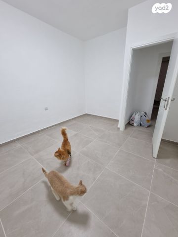 דירה, הגדוד העברי 5, לב העיר, בת ים