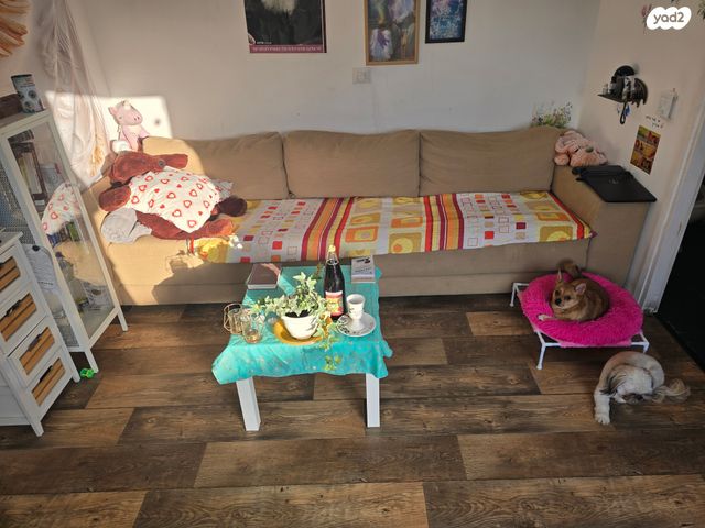 דירת גן, יוסף הנשיא 10, שיכוני המזרח, ראשון לציון