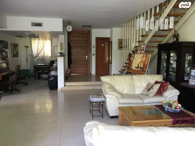 צבי לייבוביץ' 24