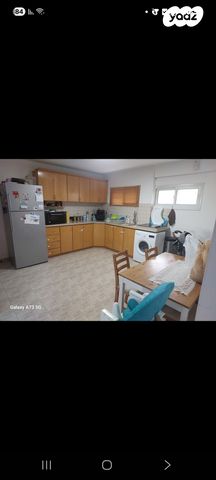 מנחם בגין 79