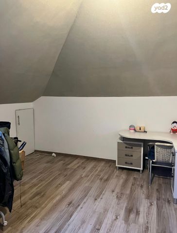 קיבוץ גלויות 29