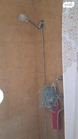 יגאל אלון 15