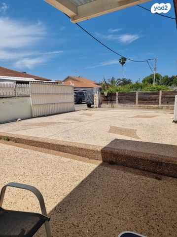 הרב אלימלך נויפלד 4