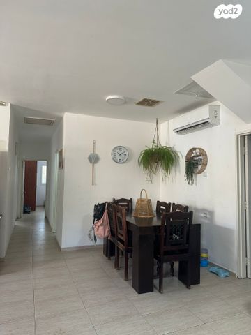 כיכר רפידים 11