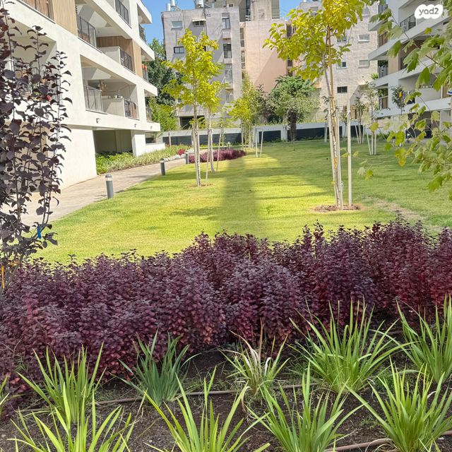 דירה, צה"ל 65, קיראון, קרית אונו