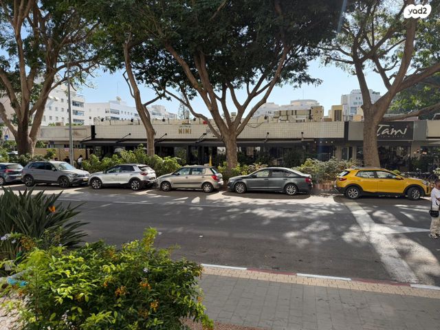 גג/ פנטהאוז, רב אשי, נווה אביבים, תל אביב יפו