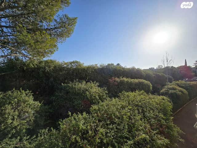 דירה, מבוא הגבים, הנחלים, מעלה אדומים