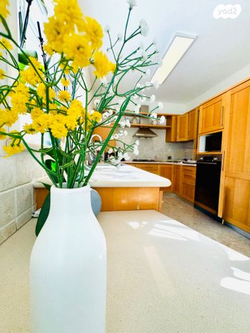 דירת גן, יוסף שכטר, אחוזה, חיפה