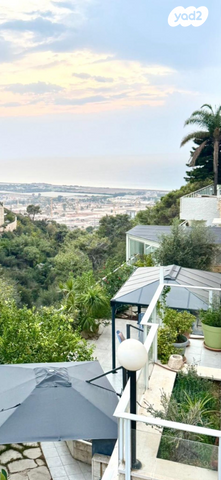 דירת גן, יוסף שכטר, אחוזה, חיפה