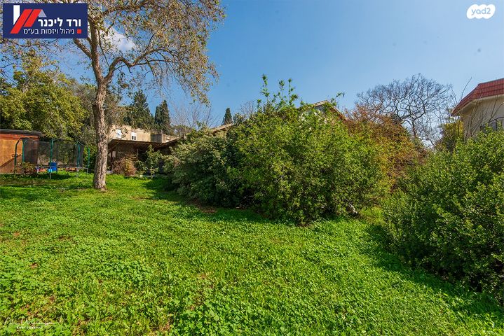 דו משפחתי, גיניגר, גיניגר