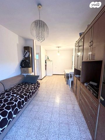 יצחק בן צבי 