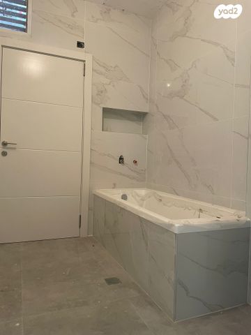 ארתור רופין 3