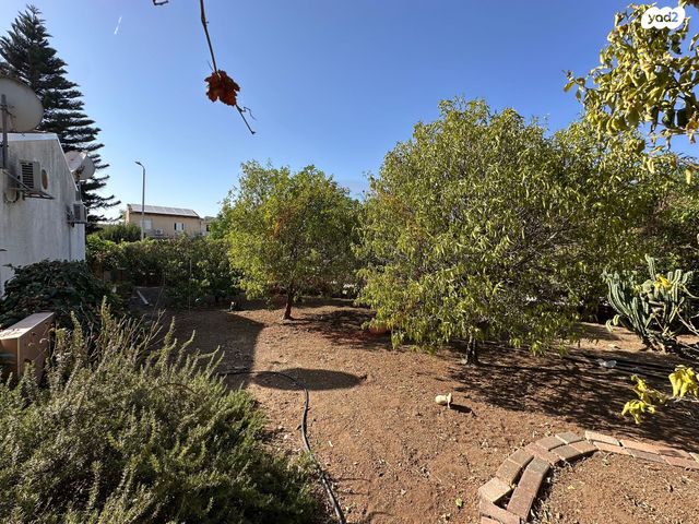 דירה, צאלון, עפולה הצעירה, עפולה