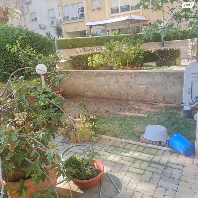 דירת גן, התל, אפק, קרית ביאליק