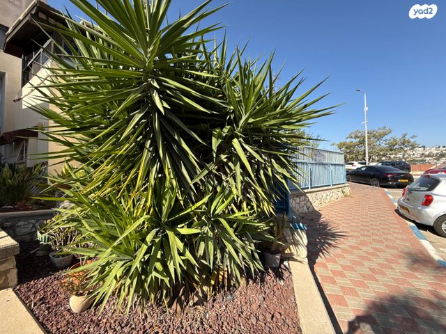 דירת גן, גנות 7, ספיר, נצרת עילית / נוף הגליל