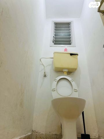 דירה, נתיבות