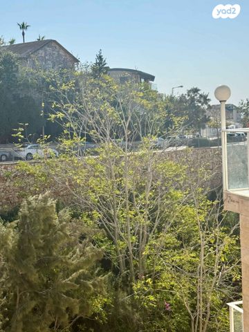 דירת גן, יוסף שכטר, אחוזה, חיפה